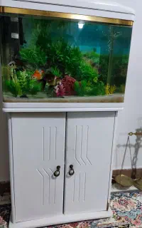 اکواریوم شیشه خم شرکتی