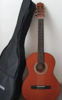 گیتار پارسی m3