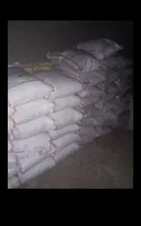 کود سفید ریز بجنورد