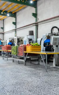 استخدام فوری نیروی کار