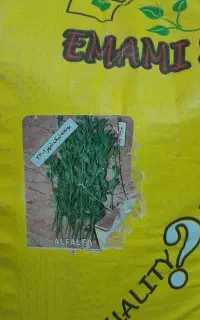 بذر یونجه شرکتی اصل