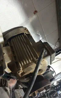 موتوژن
