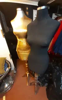 مانکن سوزن خور