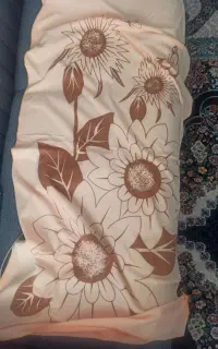 پیدا شده