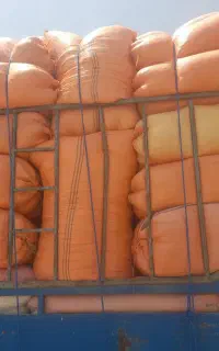 کاه‌گندم‌امسال‌دیم‌