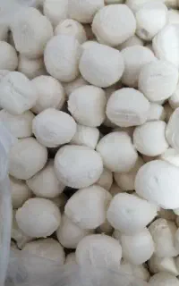 کشک سفید گوسفندی درجه یک