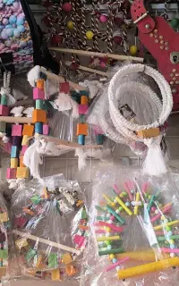 انواع سرلاک و مکمل و ملزومات پرندگان طوطی عروس