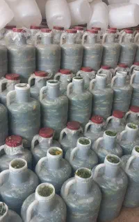 خیارشور همدان عمده قیمت مناسب کیفیت تضمینی