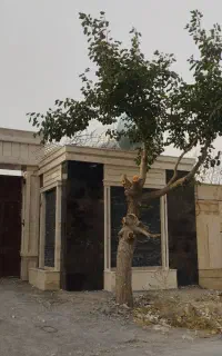 سنگ کاری وکاشی کاری