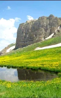 گردشگری