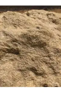 کاه