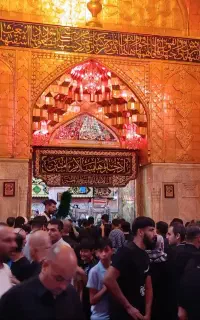 کتاب . فال