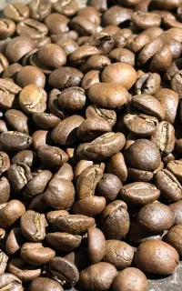 برشته کاری و پخش قهوه