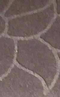 فروش ویژه موکت