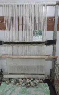 نیاز به قالیباف