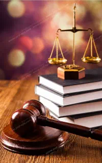 رویکرد «تحلیلِ فنی و تخصصی»واعتراض به رایی وکیل