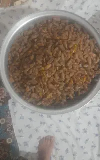 خرما شاهانی درجه یک کیلو ۲۷۰
