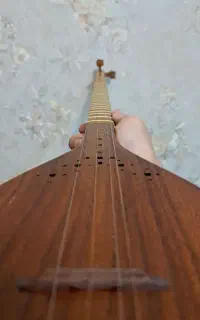 سه تار استاد عطا