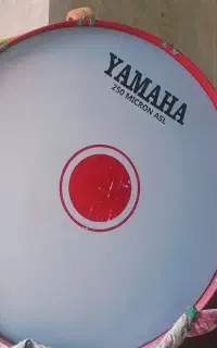 30000000