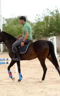 مادیان ترکمن آخال تکه