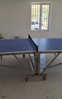 پینگ پنگ