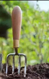 کارگر روز مزد هستم