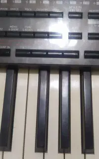 pa4x اوریونتال 6ونیم اکتاو کار کرده