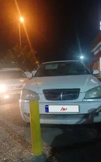 ویانا