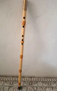 ساز نی
