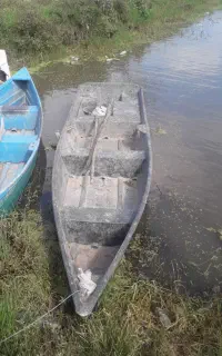 موتور قایق۲۵