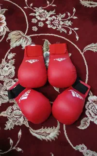 دسکش ساق روپا کاراته