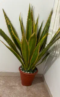 گل مصنوعی کاکتوس