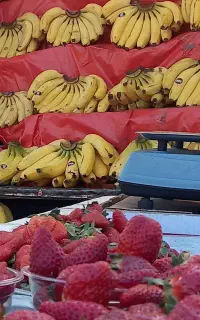 تعدادی کارگر ساده روزانه 1 میلیون