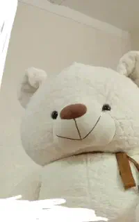 فروش خرس نو