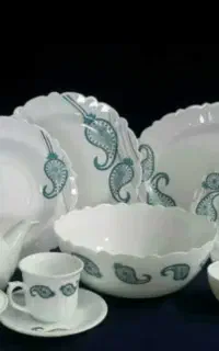 ظروف آرکوپال نو