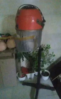 شسوار ایستاده .