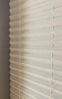 استخدام نیروی کار آقا و کارمند خانم