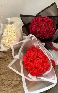 گل روبانی