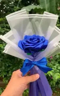 گل روبانی