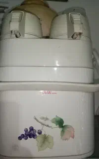 فلاکس ژاپنی دوقلو