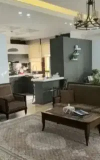 نظافتچی خانم امور منزل
