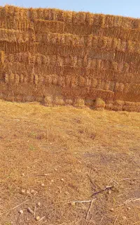 ماشین و کارگر