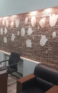 استخدام همکار در مشاور املاک