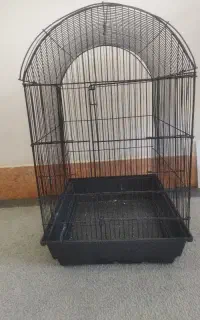 قفس عروس هلندی