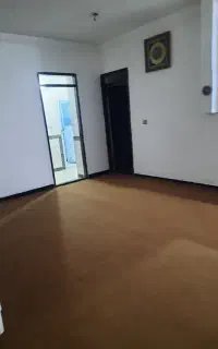 موکت
