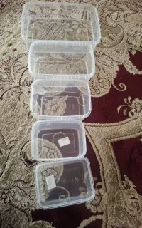 ظرف فریزری