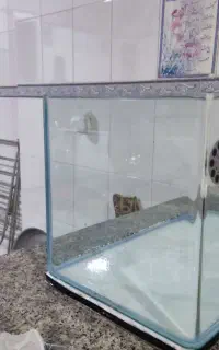 شیشه