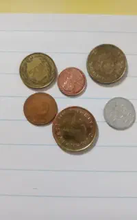 کلکسیونی