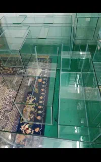 اکواریم متنوع