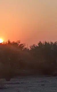 باغبانی و نگهبانی